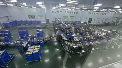 當“北緯47°”遇上“耕地大熊貓” 企業培訓助力可持續農業高質量發展